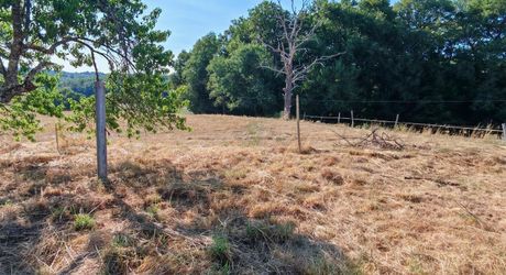 Entre Hautefort et Terrasson, maison rénovée en 2024 sur 2000m² de terrain