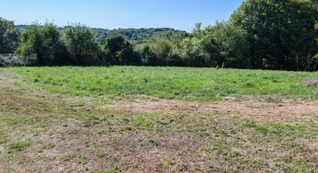 Au calme, corps de ferme de 2 maisons et granges sur 7000m² de terrain et piscine