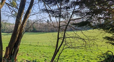 Maison des années 70 sans voisin et terrain boisé