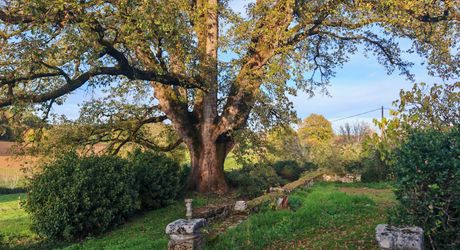 Excideuil - Maison bourgeoise et dépendances sur 3,6 hectares avec vue dégagée