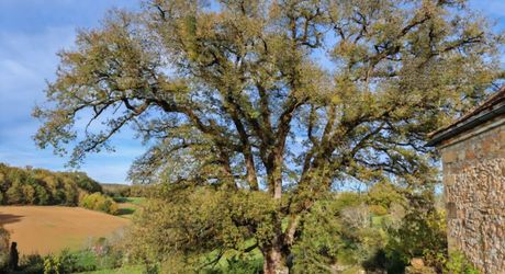 Excideuil - Ferme bourgeoise du XVIIe et dépendances sur 3,6 hectares