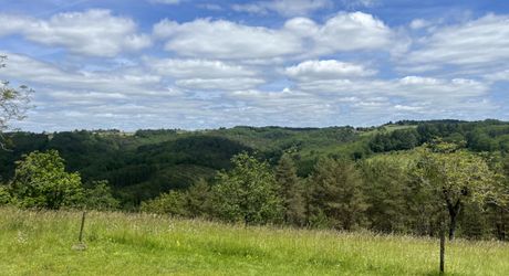 Sur les hauteurs en Périgord Noir, située au calme d'une impasse mais non isolée, maison avec petit gîte attenant. Terrain aménagé pour chevaux d'environ 2 hectares de bois et prés, attenants et non attenants.