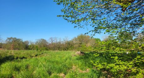 Exclusivité Label Pierres - Grand Périgueux - terrain à aménager d'environ 2 hectares