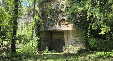 Les Eyzies - Maison en pierres au calme dans un parc arboré