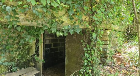 Les Eyzies - Maison en pierres au calme dans un parc arboré