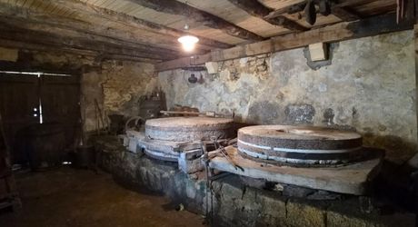 Ancien Moulin en Périgord Noir - 3 chambres,  ruisseau, dépendances et 3 hectares de nature