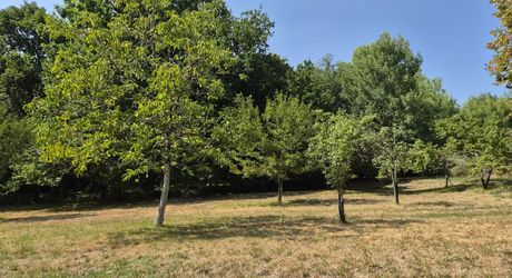 Rare ! Maison de 110m² sans aucun voisin ni nuisance à 20 minutes de Périgueux