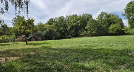 Très bel ensemble en pierres de 3 maisons offrant 350m² habitables sur son terrain d'un hectare et grande piscine.