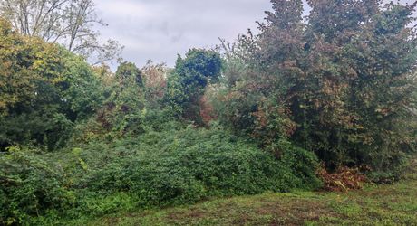 Maison de campagne avec vue panoramique