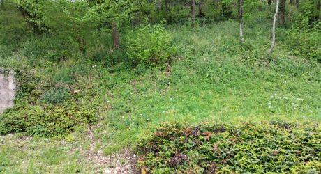 EXCLUSIVITE LABEL PIERRES Maison fonctionelle, quasi plain-pied avec 3 chambres, garage et jardin, à 5 minutes des commodités.