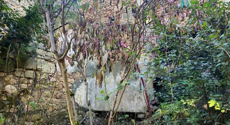 Maison de village ancienne avec jardinet