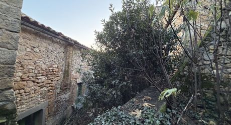 Maison de village ancienne avec jardinet