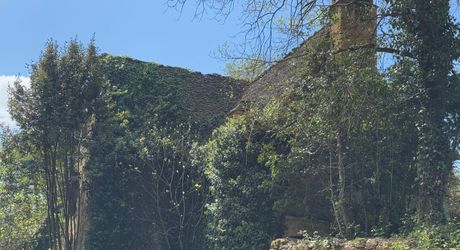 Très bel ensemble périgourdin aux toitures de lauzes a restaurer.