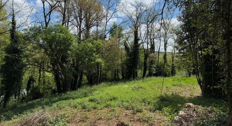 Très bel ensemble périgourdin aux toitures de lauzes a restaurer.