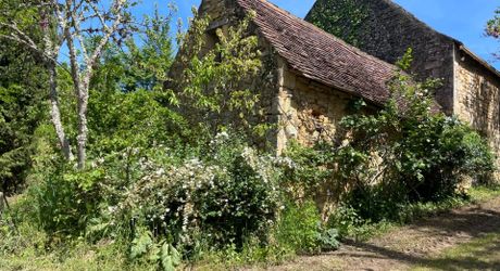 Maison à louer sur la commune de Castels. 