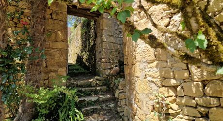Propriété de charme avec dépendances, piscine et jardin dans un hameau.