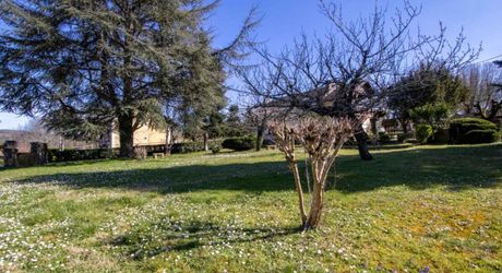 Propriété avec 3 habitations – Idéale pour projet locatif