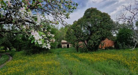 Maison perigordine en pierres à renover avec dépendances et terrain d'env 5000m2
