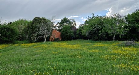 Maison perigordine en pierres à renover avec dépendances et terrain d'env 5000m2