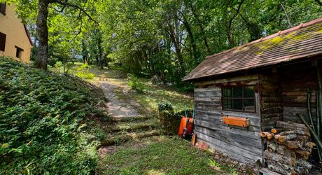 Charmante maison au cœur du Périgord Noir, à deux pas du centre du Bugue