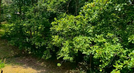 Charmante maison au cœur du Périgord Noir, à deux pas du centre du Bugue