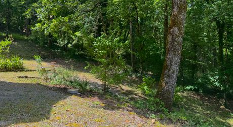 Charmante maison au cœur du Périgord Noir, à deux pas du centre du Bugue