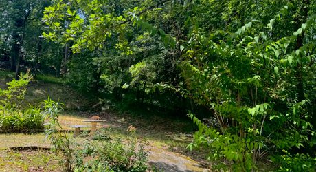 Charmante maison au cœur du Périgord Noir, à deux pas du centre du Bugue