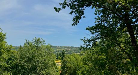 Charmante maison au cœur du Périgord Noir, à deux pas du centre du Bugue