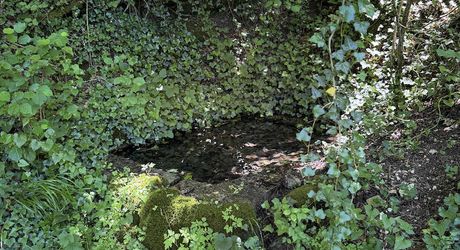 Maison isolée sur six hectares, parfaite pour une totale autonomie !