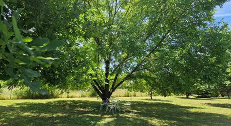 Maison Perigordine proche des commerces et parc arboré de 3860m2