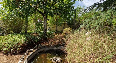 Stone house close to shops in Le Bugue on 3,522 m² of buildable land