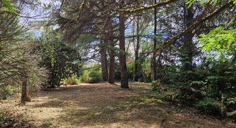 Stone house close to shops in Le Bugue on 3,522 m² of buildable land