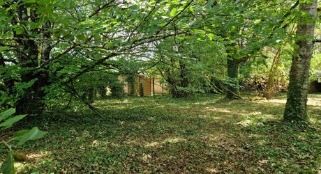 Stone house close to shops in Le Bugue on 3,522 m² of buildable land