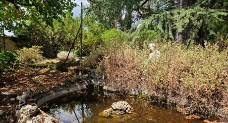 Stone house close to shops in Le Bugue on 3,522 m² of buildable land