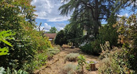 Stone house close to shops in Le Bugue on 3,522 m² of buildable land