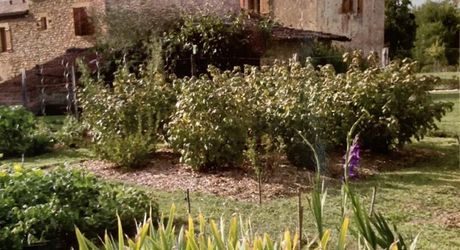 Le charme de l’ancien, la perfection de la rénovation et les vues que le Périgord peut offrir.