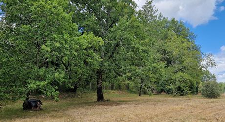 Charming property with swimming pool and 6,268 m² of land
