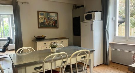 Stone house with 3 bedrooms and terrace, investment opportunity or charming residence near SAINT-CYPRIEN
