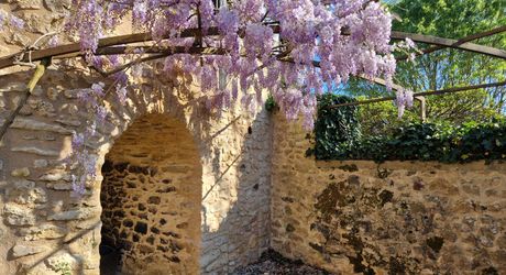 Maison de caractère en pierres avec jardin et dépendance