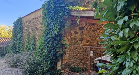 Authentique maison perigordine en pierres, rénovée avec piscine et Jardin