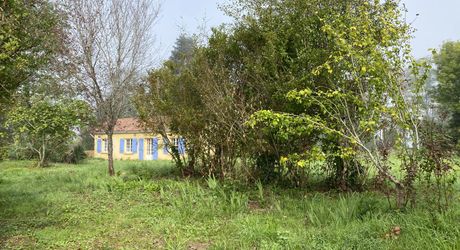 Maison de plain-pied avec grand terrain et ancien séchoir à tabac