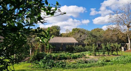 Atypique ancien hangar à tabac rénové dans bel environnement