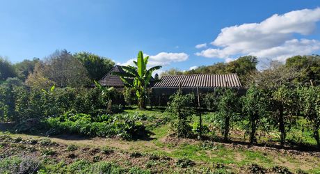 Atypique ancien hangar à tabac rénové dans bel environnement