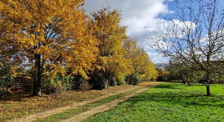 Perigordine sur hauteur avec vue degagée sur la Vallée.