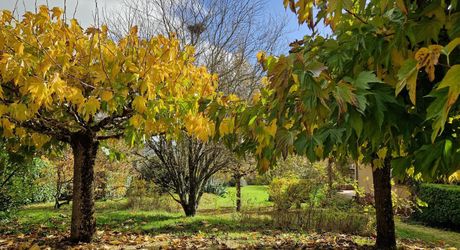 Perigordine sur hauteur avec vue degagée sur la Vallée.