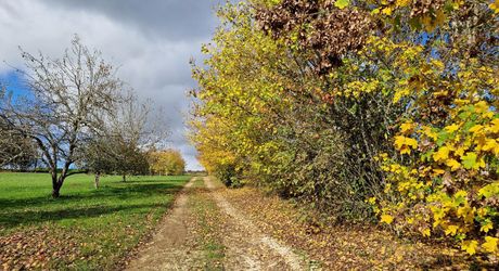 Perigordine sur hauteur avec vue degagée sur la Vallée.