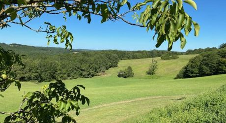 Propriété d'exception en Périgord Noir avec vue époustouflante, chambres d'hôtes, gîte, piscine et 27 hectares de forêts et prairies