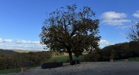 Propriété d'exception en Périgord Noir avec vue époustouflante, chambres d'hôtes, gîte, piscine et 27 hectares de forêts et prairies