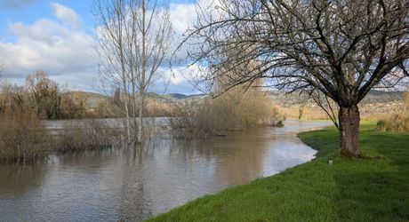 Propriété ancienne avec vue sur la Dordogne, idéale pour maison familiale ou projet de restaurant au bord de l’eau
