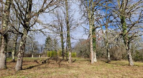Maison de plain pied à renover sur 3678m2 en prairie et chênes.